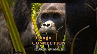 Congo Connection