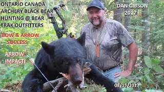BOW & ARROW ARCHERY BLACK BEAR IN ONTARIO CANADA Bow Kill on Archery hunt