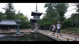 HENRO 10 Reasons to visit Shikoku, Japan 4K (Ultra HD)