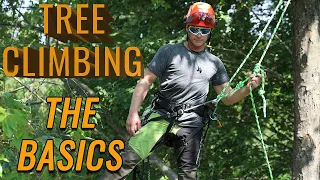 How to Climb Trees with the Basics!