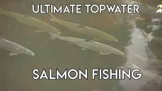 Newfoundland Dry Fly Salmon