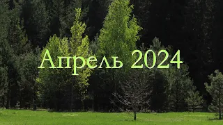 Апрель 2024 в рязанской Мещёре