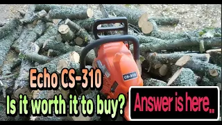 Echo CS-310. Is it worth it to buy?