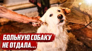 Слабонервным не смотреть | Оренбургская обл, Бугурусланский р/н д.Алга