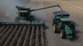 Mississippi Delta Soybean harvest 2023 #harvest23 #farming #deere #soybean