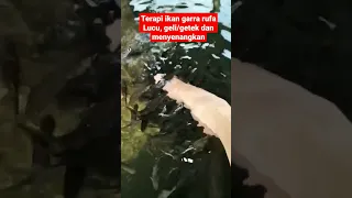 Terapi ikan garra rufa, mereka memakan sel2 mati di kulit kaki, sebenarnya makanan utamanya flankton