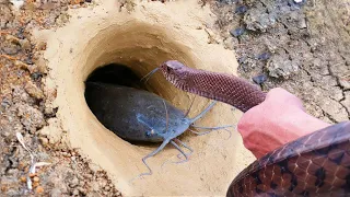 Unbelievable Fishing Technique | Use A Snake To Catch Fish In Underground Hole