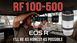 My Thoughts On The Canon RF100 500mm f4.5 - 7.1 L IS USM