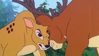 RETOUR A LA FORET NOIRE - Simba, le Roi Lion, ép 46 - VF