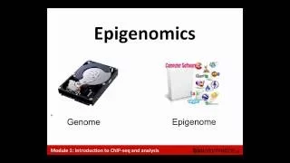 Introduction to ChIP Sequencing and Analysis