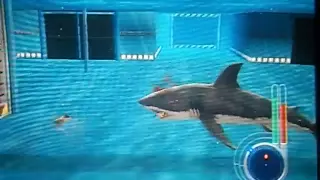 Lets Play Jaws Unleashed:Part 2-Escape From Seaworld!
