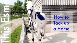 How to Tack up a Horse - English | Gopro | This Esme