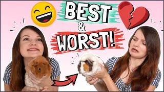 5 BEST and WORST things about owning Guinea Pigs!