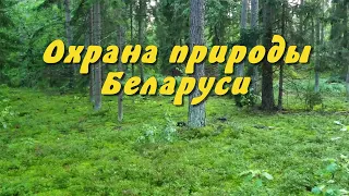 Охрана природы - важная задача государства (Беларусь)