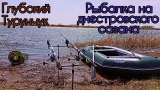 Рыбалка на Глубоком Турунчуке.Днестровский сазан на горох#рыбалка2024#сазан#Турунчук#горох