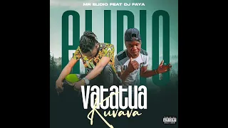 Mr Elidio Feat  ft dj faya_valala vamila official 2024.mp3