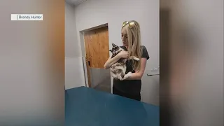 Cat mistakenly shipped to Amazon facility