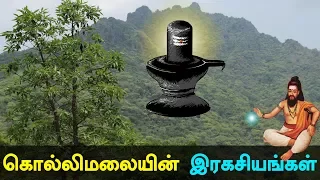 Kollimali Secrets and History of Kollipaavai in Tamil #kollimalai