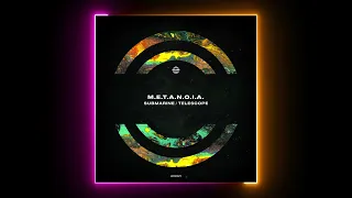 M.E.T.A.N.O.I.A. - Submarine (Original Mix) [WARPP]