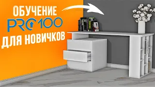 Обучение PRO100 для начинающих. Изучите PRO100 за 10 МИНУТ