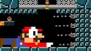 Cat Mario: Can Mario through the Tiny Maze after Mario falls into it in Super Mario Bros. ?