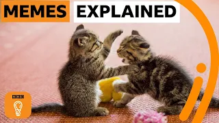 A brief history of memes | BBC Ideas