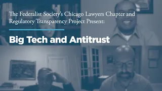 Big Tech and Antitrust