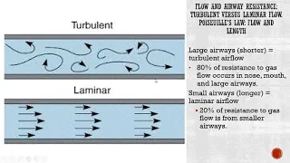 Ventilatory Mechanics  Airway Resistance