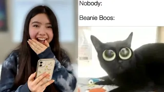 Reacting To Funny Beanie Boo Memes!