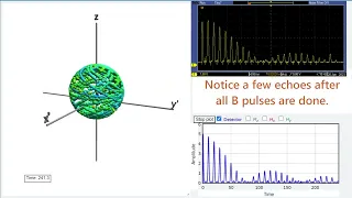 NMR Simulation: The Meiboom-Gill Pi-Pulse Correction