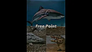 Sharks Vs Crocodilians Tournament PT 4