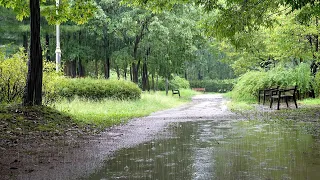 Rain sound that fills your heart, White noise that makes you fall asleep when you close your eyes