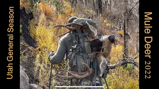 Utah General Season Mule Deer 2022