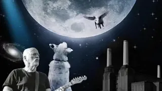 Pink Floyd - Dogs (with Lyrics)