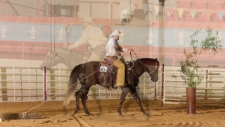 2016 AQHA Cowboy VRH World Champion