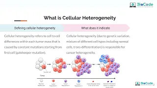 Cellular Heterogenity And Tumor Heterogeneity | BioCode: Learn Bioinformatics