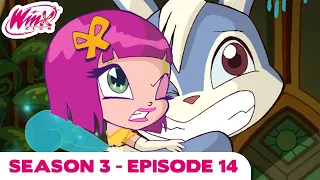 Winx Club - Season 3 Episode 14 - Fury! - [FULL EPISODE]