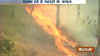 Forest Fire Claims 6 Lives in Uttarakhand