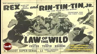Law of the Wild (1934 ) | Complete Serial - All 12 Chapters | Rin-Tin-Tin Jr