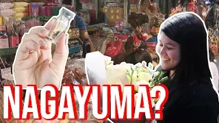 BUMILI ng GAYUMA sa QUIAPO at ROSAS sa DANGWA #TheJKVlogs | Kris Lumagui