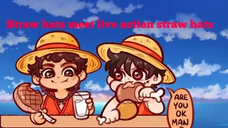 S&F2.0 comic dub:  straw hats meet  live action straw hats