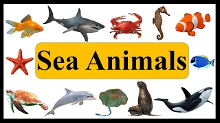 Kids vocabulary | Sea Animals | Learn English for kids | Learning Aquatic Animals Names and Videos