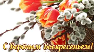 С Вербным Воскресеньем. 🙏🙏🙏