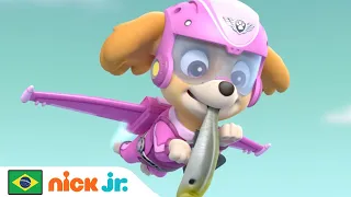 Patrulha Canina | Patrulha Canina - Resgates de Animais do Ártico | Nick Jr. em Português