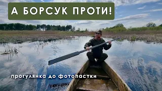 А Борсук проти! #лелекагрицько #ukrainenature #природаукраїни