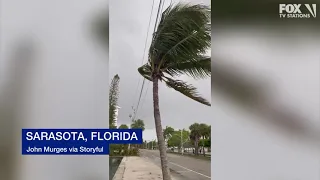 Footage of Hurricane Idalia's impact so far