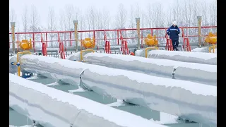 Главред (Украина): саботаж «Нафтогаза», или Почему на переговоры с «Газпромом» Украине не с чем идти