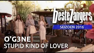 O'G3NE - Stupid kind of lover | Beste Zangers 2016