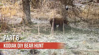 SO CLOSE - Kodiak DIY Bear Hunt (Part 6 of 10)