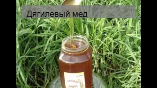 Дягилевый мед